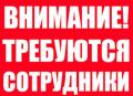 В интернет-проект,требуется информационный менеджер В интернет-проект,требуется информационный менеджер